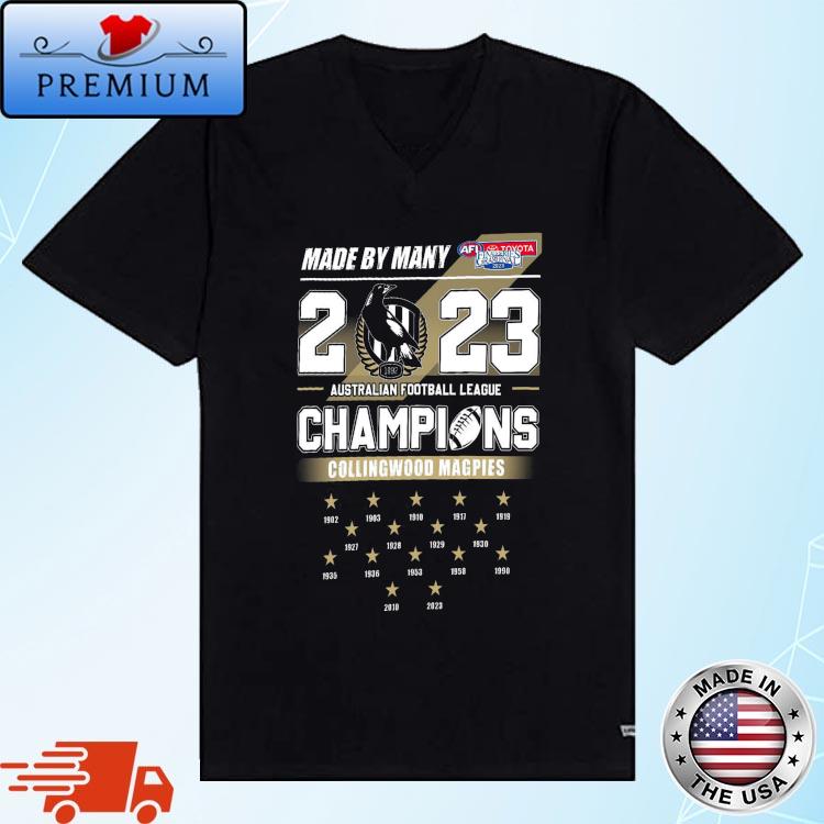 New Orleans Saints Nfc South Champions 2020 shirt, hoodie, sweater, long  sleeve and tank top