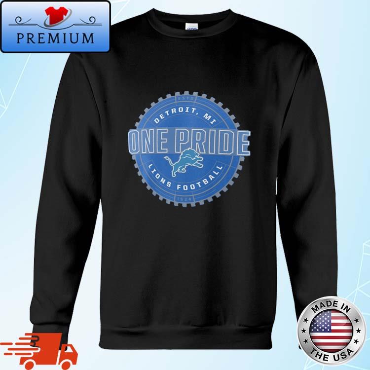 Detroit Lions this is one pride logo shirt, hoodie, sweater and v