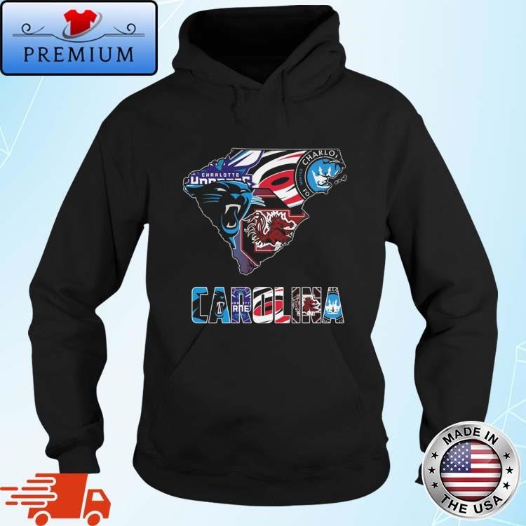 Official Carolina Hurricanes South Carolina Gamecocks Charlotte FC Carolina Panthers 2024 Hoodie
