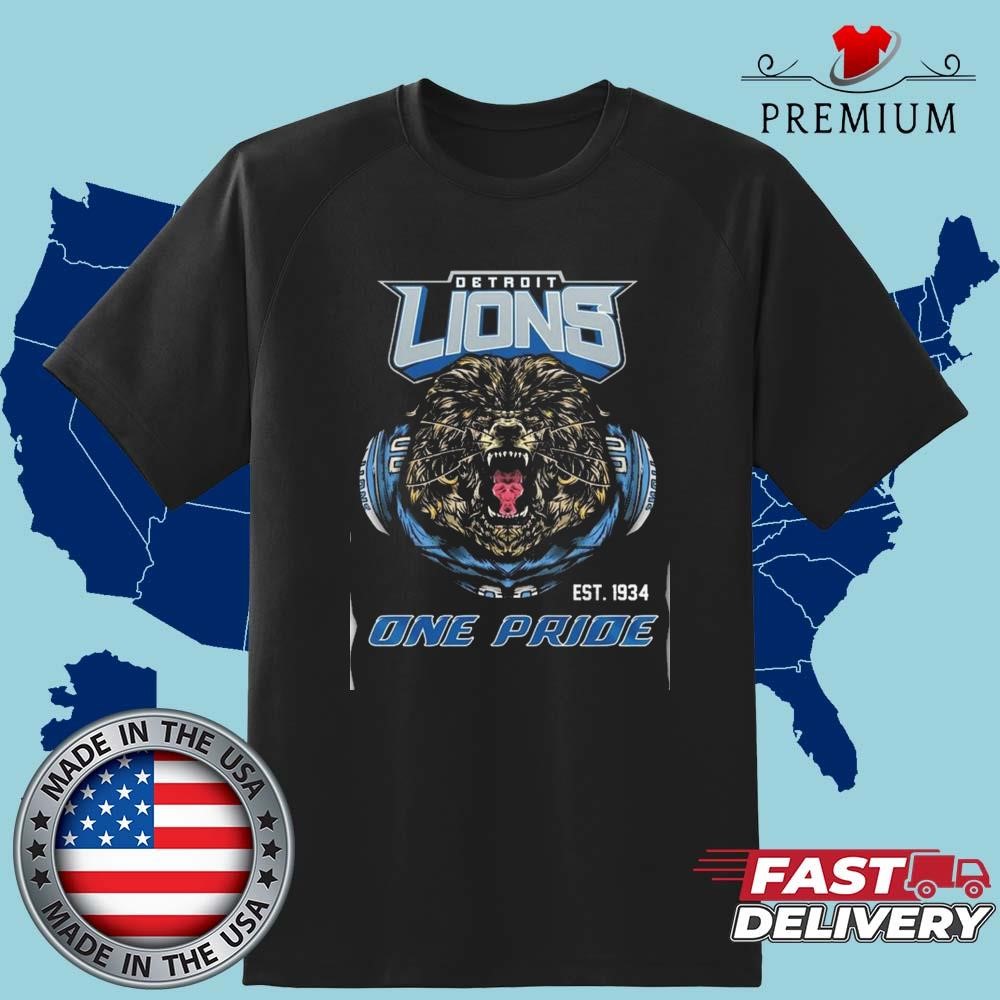 NFL Detroit Lions EST 1934 One Pride Art Shirt