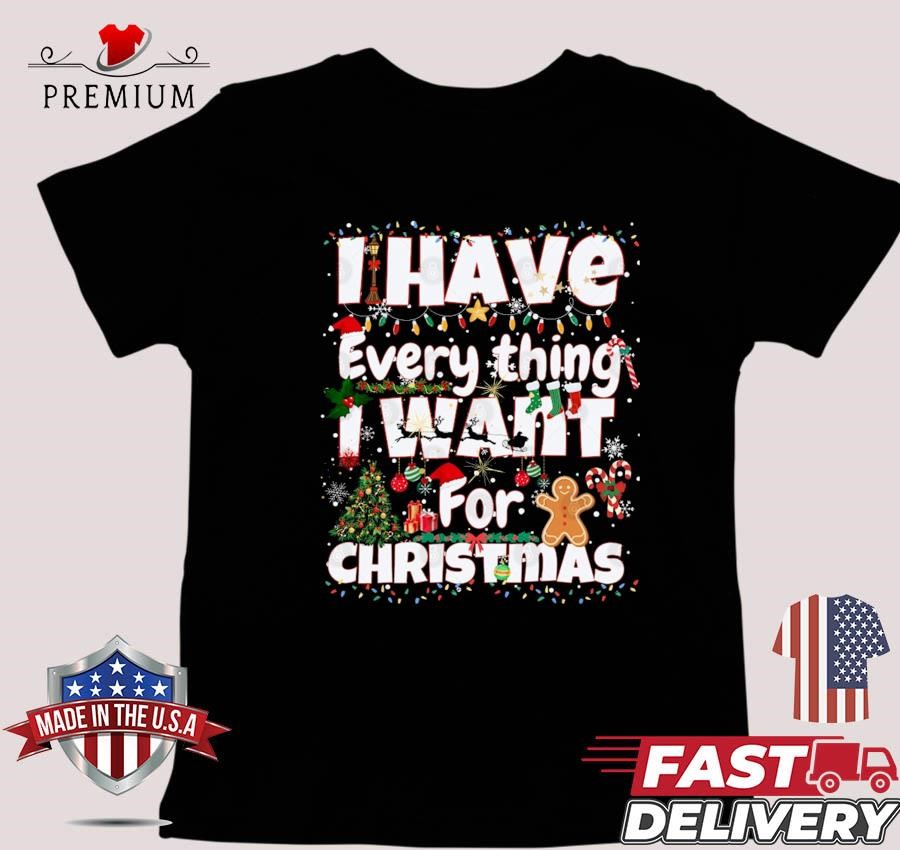 I Have Everything I Want For Christmas 2024 Sweater